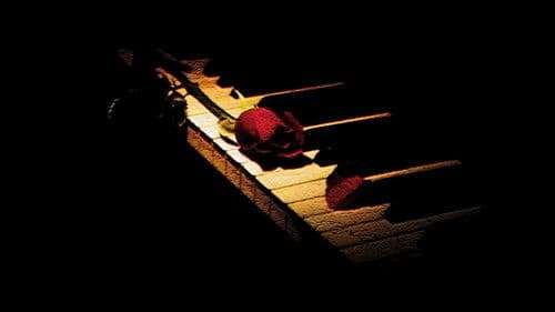 Ludwig van B. - Meine unsterbliche Geliebte Bild 5