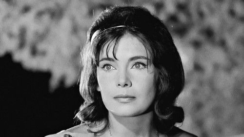 Ποια Είναι Η Μαργαρίτα Bild 3