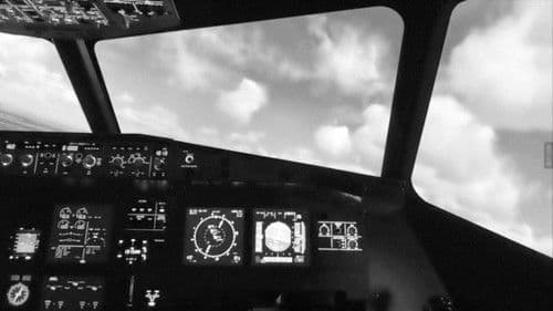 完美現在時 Bild 3