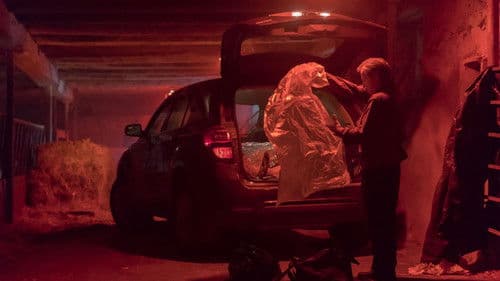 Lifechanger: Die Gestaltwandler Bild 7