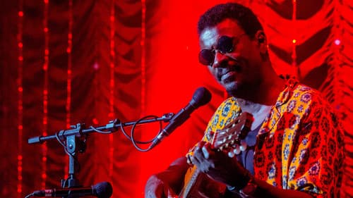 How To Be a Carioca Bild 4