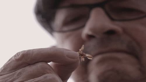 שעון חול Bild 1