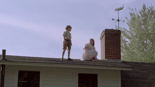 Before I Sleep Bild 2