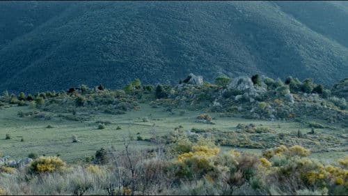 Loin d'Al Andalus Bild 3