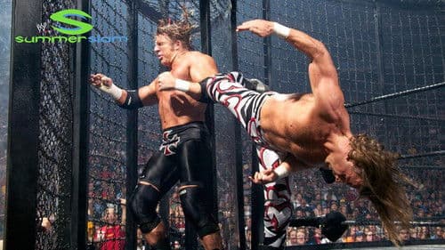 WWE SummerSlam 2003 Bild 6