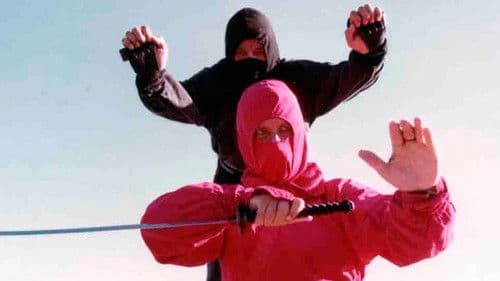 Diamond Ninja Force Bild 1