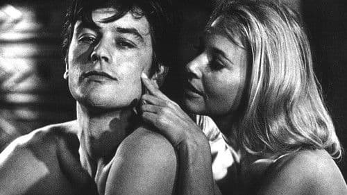 Wie Raubkatzen Bild 6