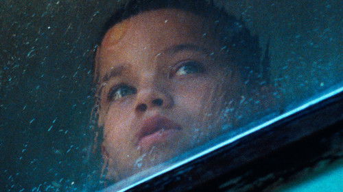 We the Animals Bild 2