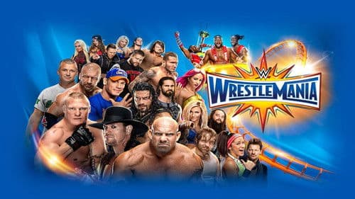 WWE WrestleMania 33 Bild 3