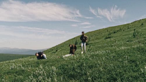 Никто не знает про Маньпупунёр Bild 1