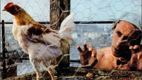 La Coqueluche Bild 1