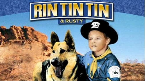 Rin Tin Tin Bild 1