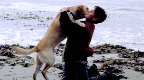 Gefährliche Wildnis Bild 4