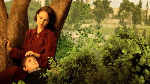 Eine Geschichte von Liebe und Finsternis Bild 4