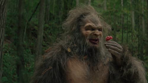 Sasquatch Sunset Bild 6