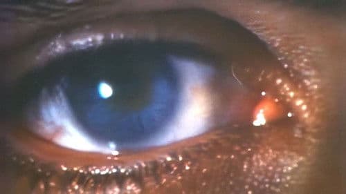 Gesichter des Todes III Bild 1