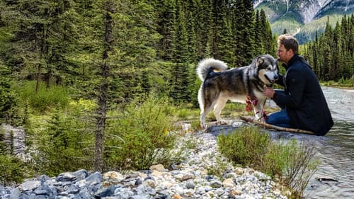 Hero Dog: The Journey Home Bild 2