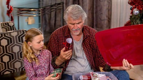 Weihnachten Zuhause Bild 2