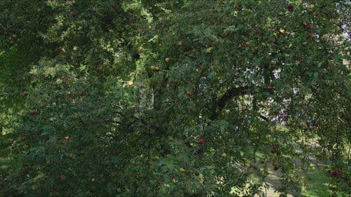 Pieces of a Woman Bild 8