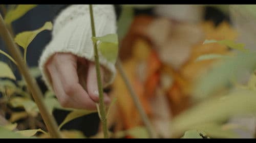 Sonus ex Machina Bild 6