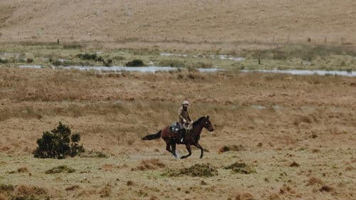 The Dartmoor Cowboy Bild 1