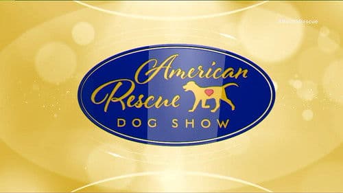 The 2018 American Rescue Dog Show Bild 2