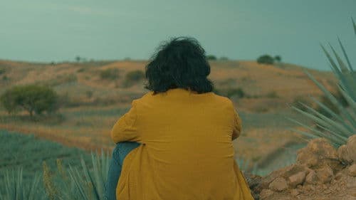 Agaves al alba Bild 6