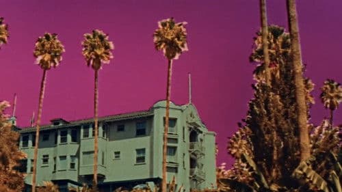 Warum hab’ ich ja gesagt? Bild 4