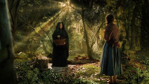 De vilde svaner Bild 1