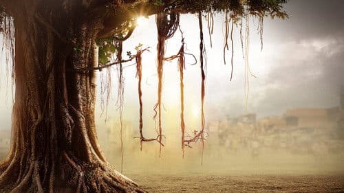 Haus der Geheimnisse: Die Toten von Burari Bild 2