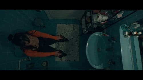 Hamam Böceği Bild 6