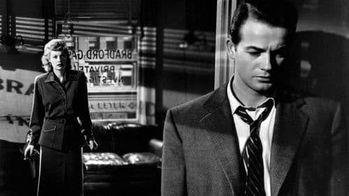 Feind im Dunkel Bild 4