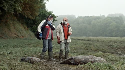 Les Algues vertes Bild 6