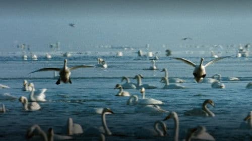 札幌オリンピック Bild 8