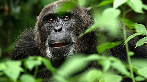 Natural World Bild 5