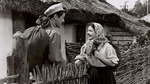 The North Star Bild 3