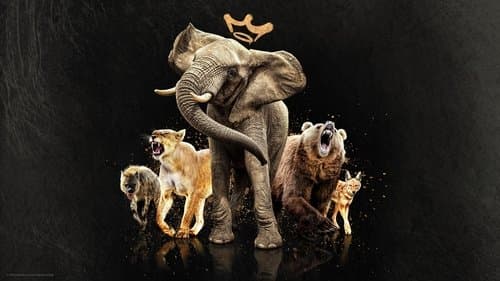 Queens – Königinnen des Tierreichs Bild 1