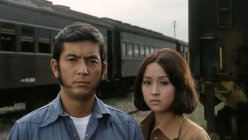 薔薇の標的 Bild 7