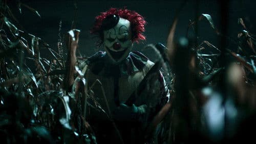 Clown in a Cornfield Bild 7