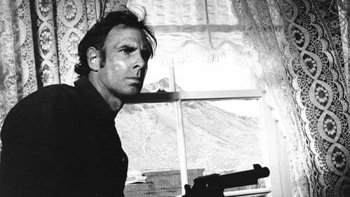 Männer des Gesetzes Bild 6