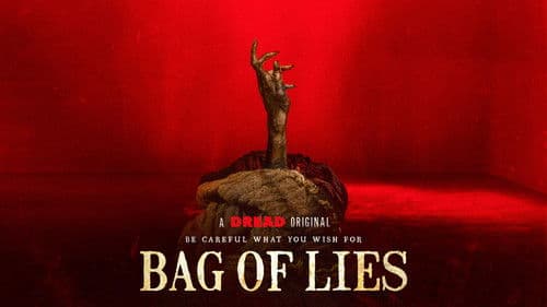 Bag of Lies Bild 1