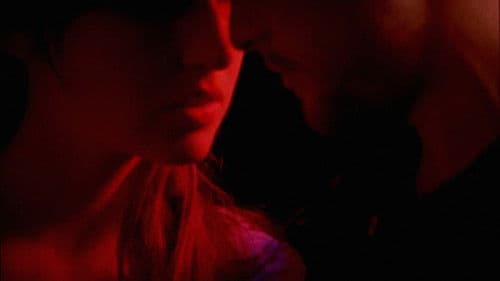 Sun Don't Shine Bild 2