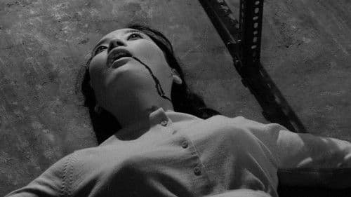 蛇娘と白髪魔 Bild 5