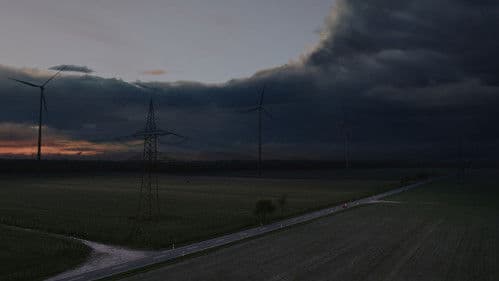 You Missed Sonja Bild 2