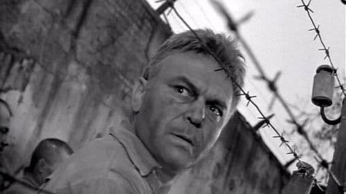 Ein Menschenschicksal Bild 4