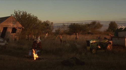 The Straight Story - Eine wahre Geschichte Bild 4