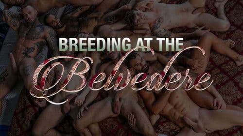 Breeding At The Belvedere Bild 1