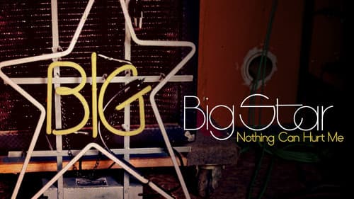 Big Star: Nothing Can Hurt Me Bild 2