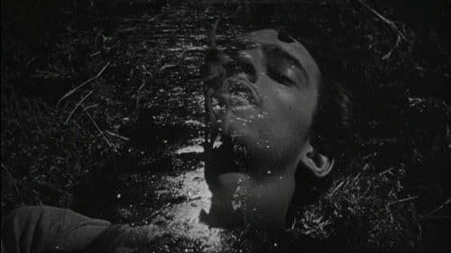 Die Vergessenen Bild 1