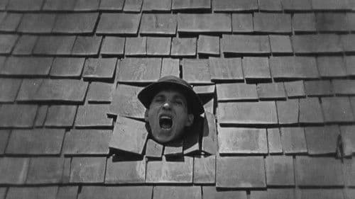 Flitterwochen im Fertighaus Bild 3